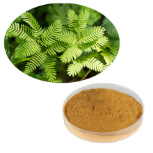 100% natural Herbal Extracts mimosa hostilis root bark powder